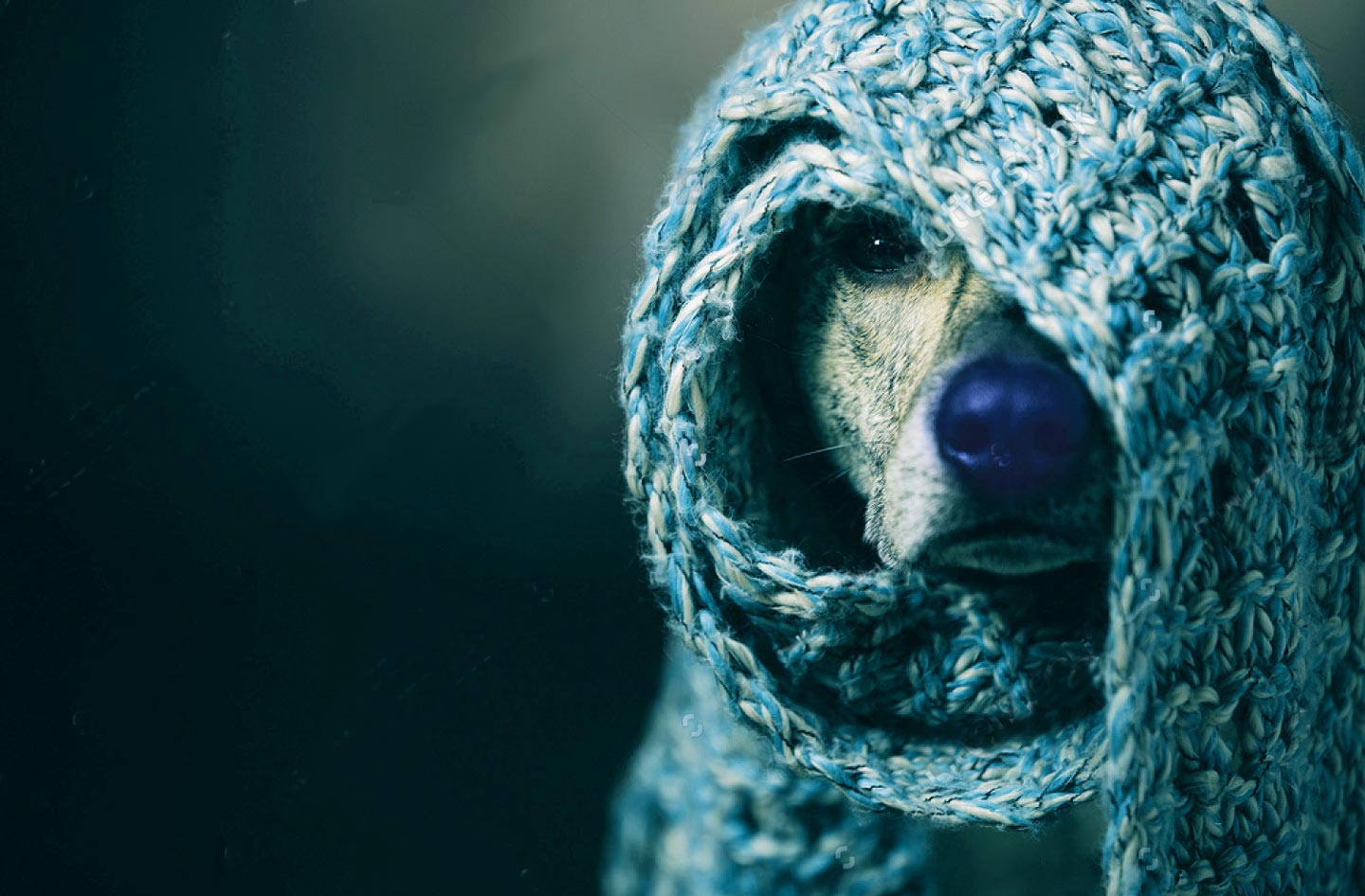 Winter is Coming. Is Your Home Ready?